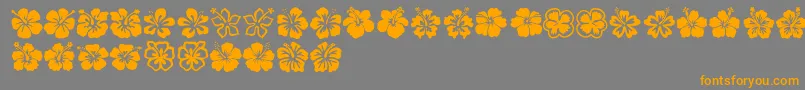 Más sobre la fuente Hibiscus fuente Hibiscus – Fuentes Naranjas Sobre Fondo Gris