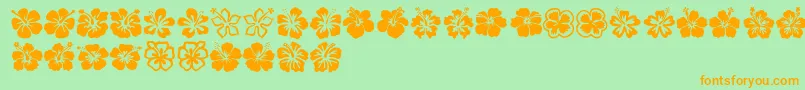 Hibiscus Font – Orange Fonts on Green Background