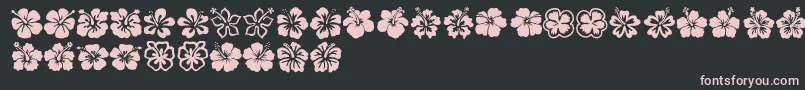 Hibiscus Font – Pink Fonts on Black Background