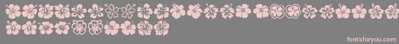 Hibiscus Font – Pink Fonts on Gray Background