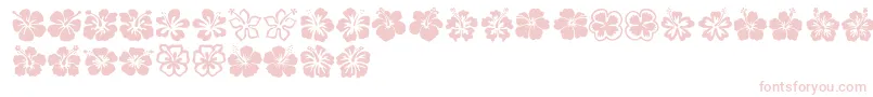 Hibiscus-Schriftart – Rosa Schriften auf weißem Hintergrund