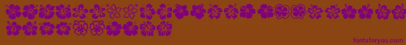 Hibiscus Font – Purple Fonts on Brown Background