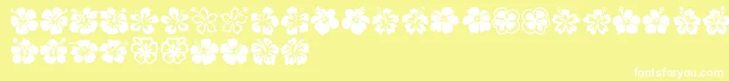 Hibiscus Font – White Fonts on Yellow Background