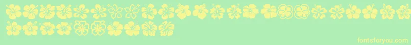 Hibiscus Font – Yellow Fonts on Green Background