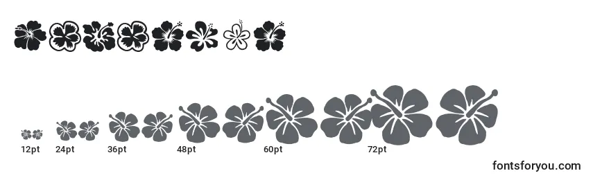 Размеры шрифта Hibiscus