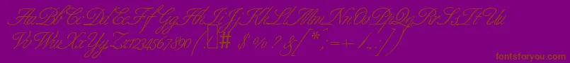 B690ScriptRegular Font – Brown Fonts on Purple Background