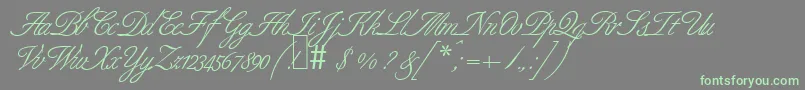 B690ScriptRegular Font – Green Fonts on Gray Background