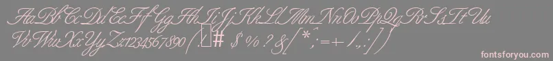 Шрифт B690ScriptRegular – розовые шрифты на сером фоне