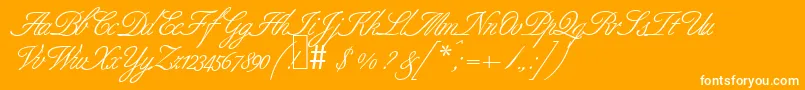 B690ScriptRegular-Schriftart – Weiße Schriften auf orangefarbenem Hintergrund