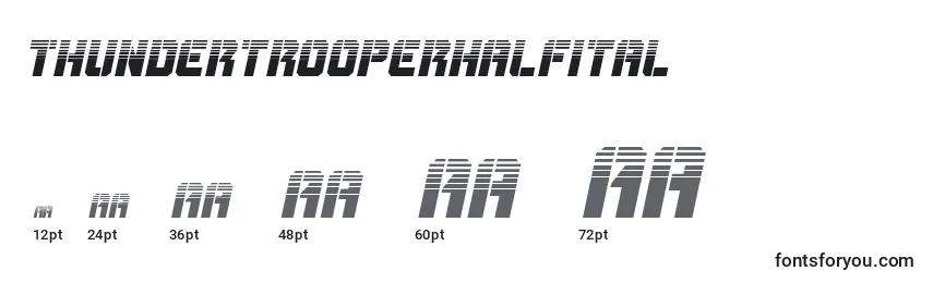 Размеры шрифта Thundertrooperhalfital
