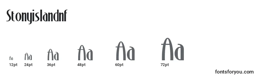 Размеры шрифта Stonyislandnf