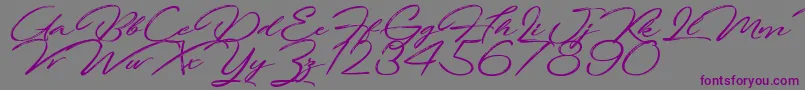 FortunatesDecember-Schriftart – Violette Schriften auf grauem Hintergrund