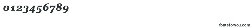 LinoletterBlackItalicOldstyleFigures Font – Fonts for Numbers and Digits
