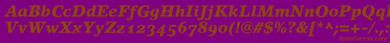 LinoletterBlackItalicOldstyleFigures Font – Brown Fonts on Purple Background