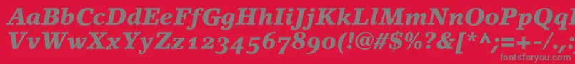 LinoletterBlackItalicOldstyleFigures Font – Gray Fonts on Red Background