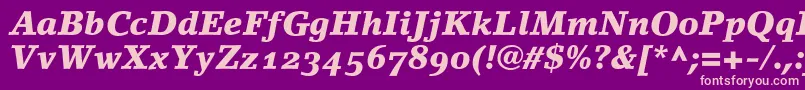 LinoletterBlackItalicOldstyleFigures Font – Pink Fonts on Purple Background
