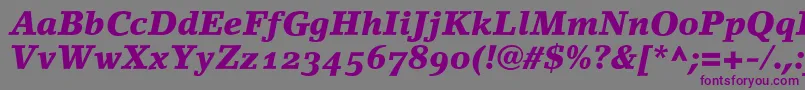 LinoletterBlackItalicOldstyleFigures Font – Purple Fonts on Gray Background
