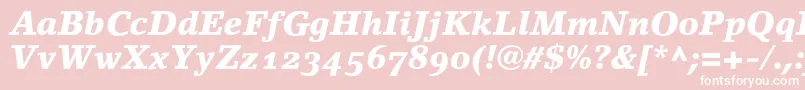 LinoletterBlackItalicOldstyleFigures Font – White Fonts on Pink Background
