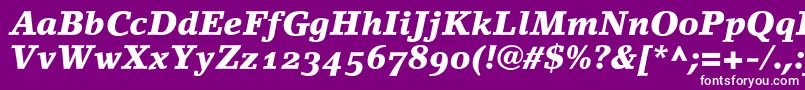 LinoletterBlackItalicOldstyleFigures Font – White Fonts on Purple Background