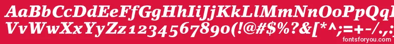 LinoletterBlackItalicOldstyleFigures Font – White Fonts on Red Background