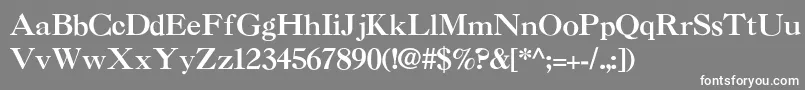 フォントNelsieBold – 灰色の背景に白い文字