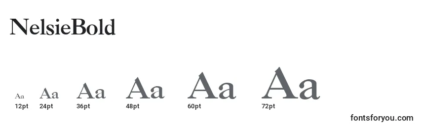 NelsieBold Font Sizes