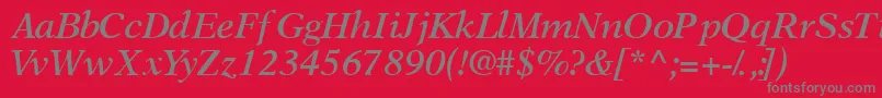 OrchidsskSemibolditalic Font – Gray Fonts on Red Background