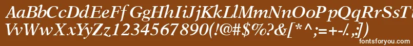 フォントOrchidsskSemibolditalic – 茶色の背景に白い文字