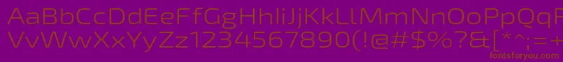 Exo2Lightexpanded Font – Brown Fonts on Purple Background