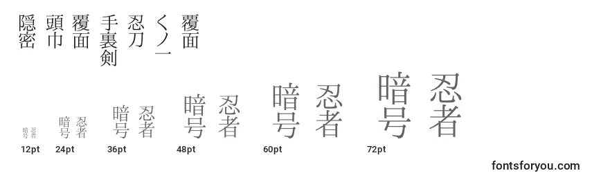 Размеры шрифта Shinobi