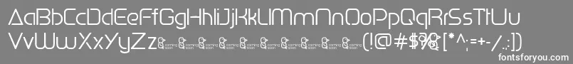 PenguinSans0.500 Font – White Fonts on Gray Background