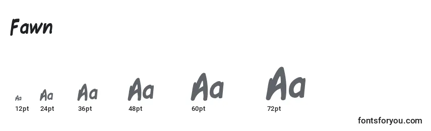 Fawn Font Sizes