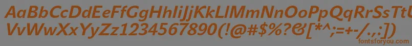 JohnsansTextProBoldItalic Font – Brown Fonts on Gray Background