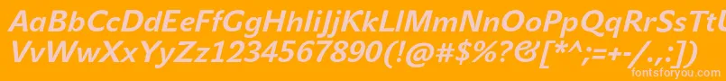 JohnsansTextProBoldItalic Font – Pink Fonts on Orange Background