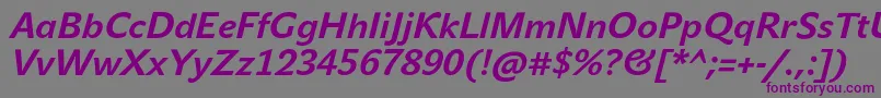 JohnsansTextProBoldItalic Font – Purple Fonts on Gray Background