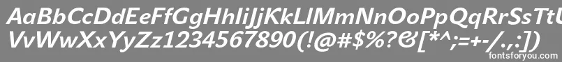 JohnsansTextProBoldItalic Font – White Fonts on Gray Background