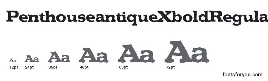 Размеры шрифта PenthouseantiqueXboldRegular