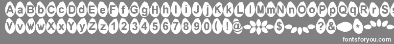 フォントMelonseeds – 灰色の背景に白い文字