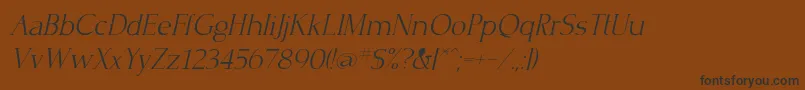 CrisplightcItalic Font – Black Fonts on Brown Background