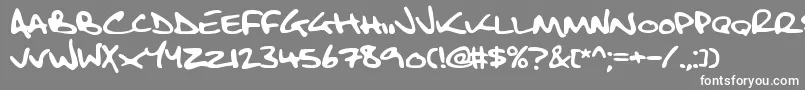 Fbsbltc2 Font – White Fonts on Gray Background