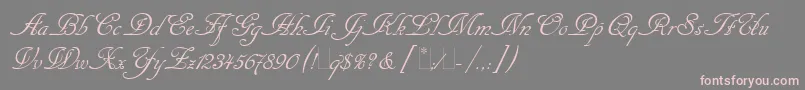 CancellarescaScriptLetPlain1.0 Font – Pink Fonts on Gray Background