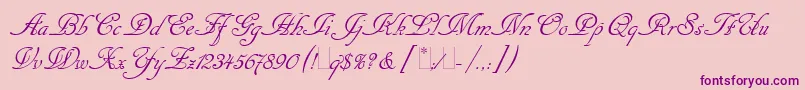 CancellarescaScriptLetPlain1.0-Schriftart – Violette Schriften auf rosa Hintergrund