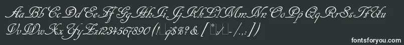 フォントCancellarescaScriptLetPlain1.0 – 白い文字