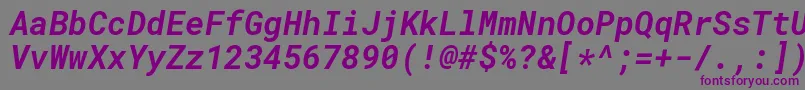 Czcionka RobotomonoBolditalic – fioletowe czcionki na szarym tle