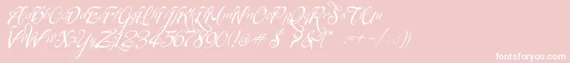 SignaritaChloe Font – White Fonts on Pink Background