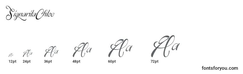SignaritaChloe Font Sizes