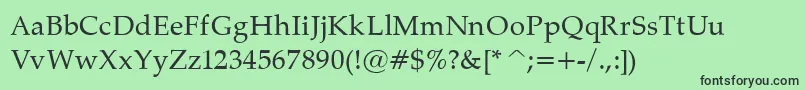 PalatinoNormal Font – Black Fonts on Green Background
