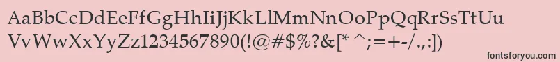 PalatinoNormal Font – Black Fonts on Pink Background