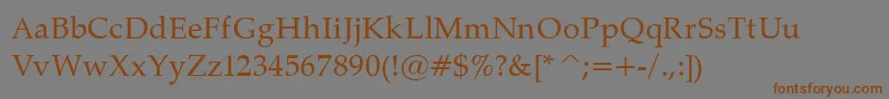 PalatinoNormal Font – Brown Fonts on Gray Background