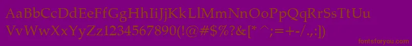 PalatinoNormal Font – Brown Fonts on Purple Background